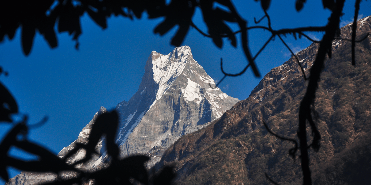 Mt Fishtail Image